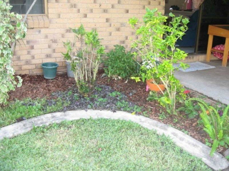 40 Hansen Drive, Proserpine QLD 4800