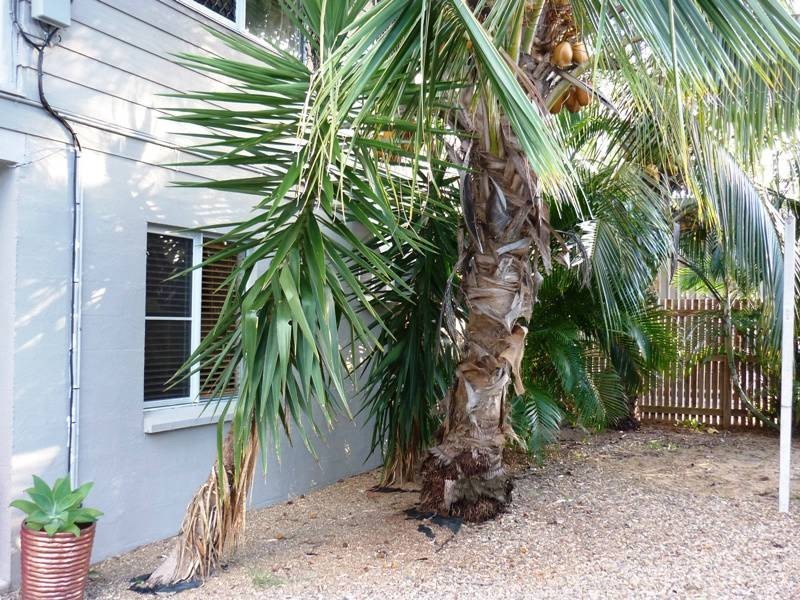 51 Trochus Street, Dingo Beach QLD 4800