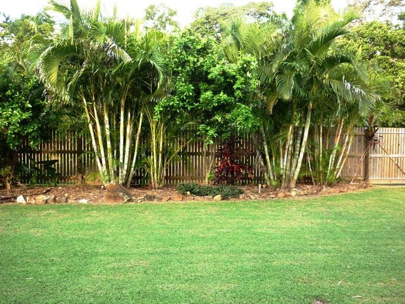 51 Trochus Street, Dingo Beach QLD 4800