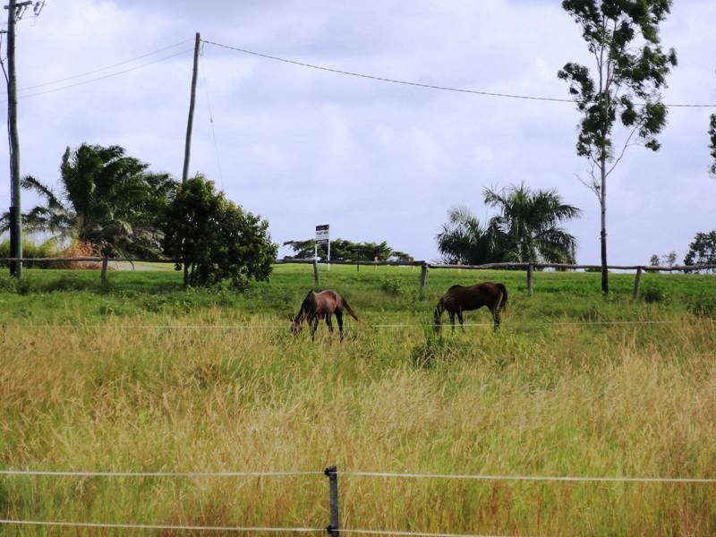 845 Gregory-Cannonvalley Road, Strathdickie QLD 4800