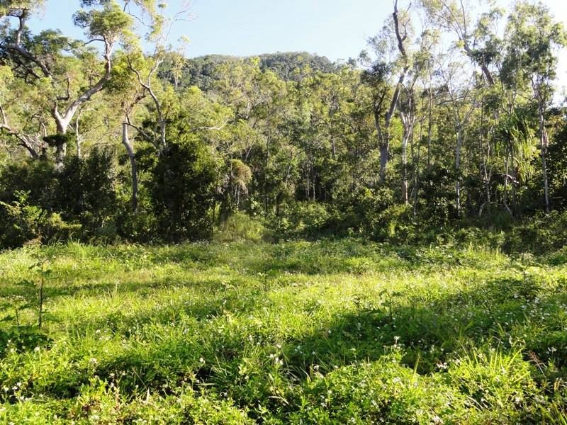 0 – Lot 18  Remmington Close, Mount Marlow QLD 4800