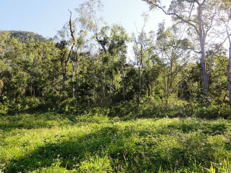 0 – Lot 18  Remmington Close, Mount Marlow QLD 4800