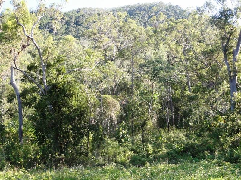 0 – Lot 18  Remmington Close, Mount Marlow QLD 4800