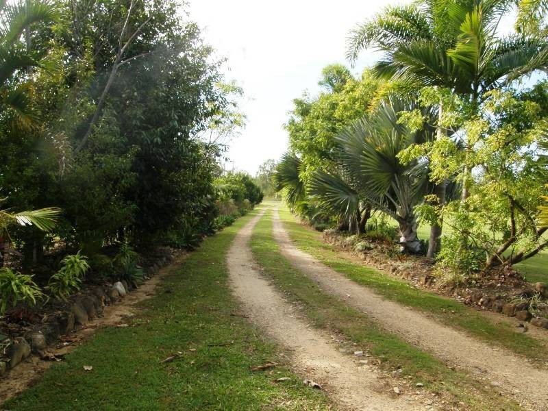 1468 Midge Point Rd, Midge Point QLD 4799