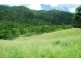. Brandy Creek Road, Airlie Beach QLD 4802