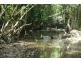 . Brandy Creek Road, Airlie Beach QLD 4802