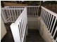 82 Blackcurrent Drive, Hideaway Bay QLD 4800