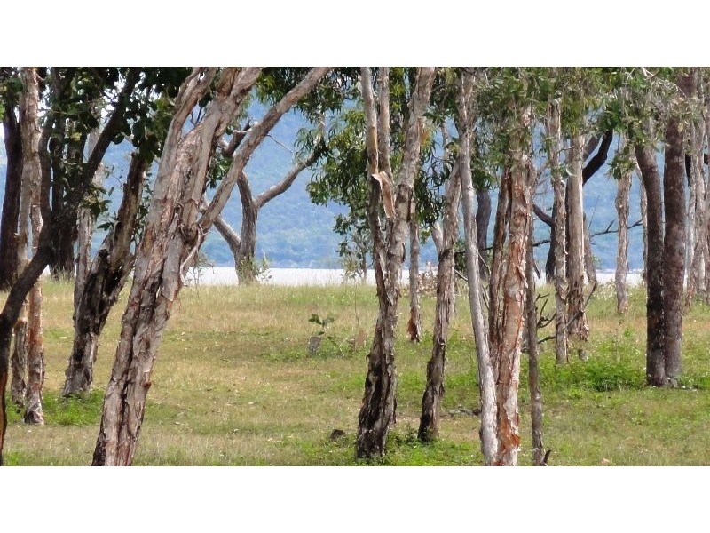 79 Trochus Street, Dingo Beach QLD 4800