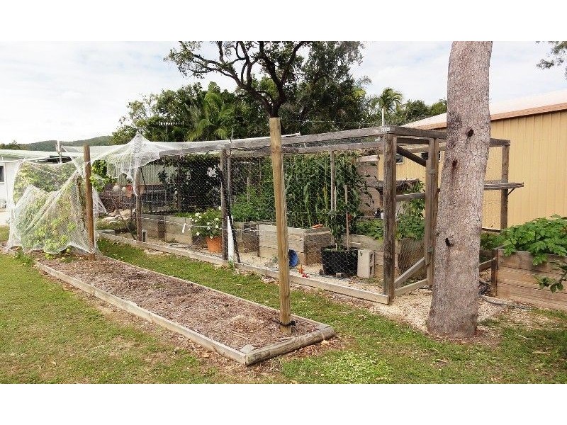 79 Trochus Street, Dingo Beach QLD 4800