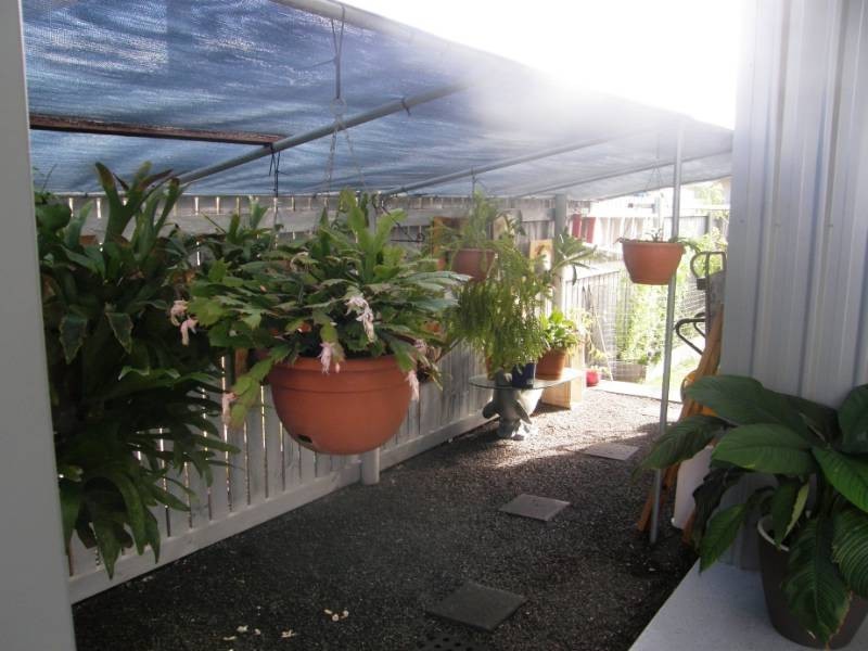 15 Golden Wattle St, Proserpine QLD 4800