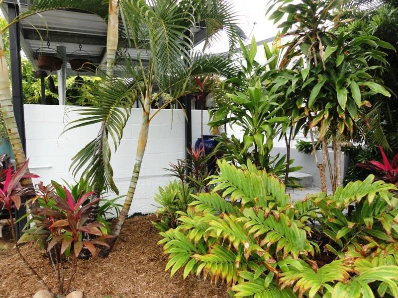 89 Pioneer Drive, Dingo Beach QLD 4800