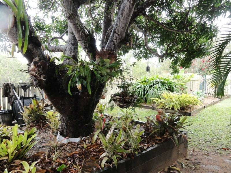 89 Pioneer Drive, Dingo Beach QLD 4800