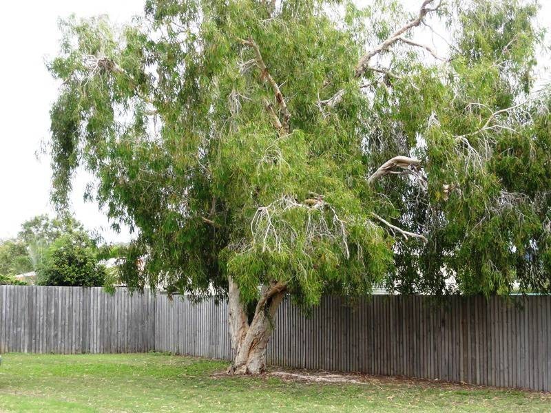 63 Trochus Street, Dingo Beach QLD 4800