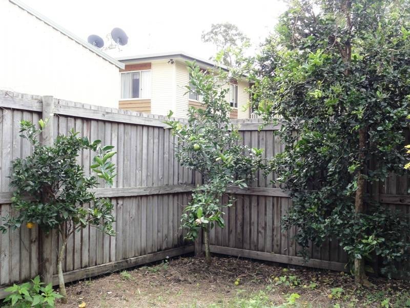 63 Trochus Street, Dingo Beach QLD 4800