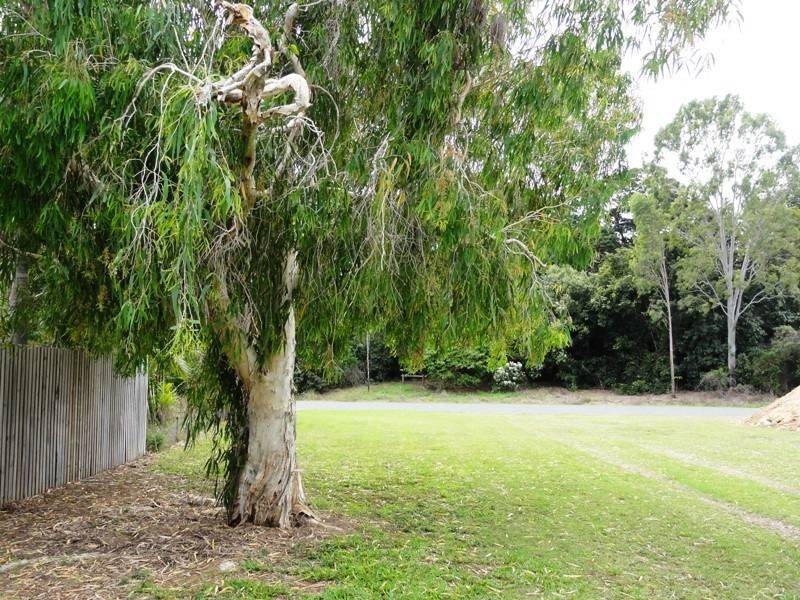 63 Trochus Street, Dingo Beach QLD 4800