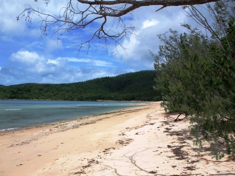 63 Trochus Street, Dingo Beach QLD 4800