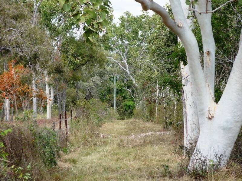 0 Hydeaway Bay Drive (HIDEAWAY BAY), Dingo Beach QLD 4800