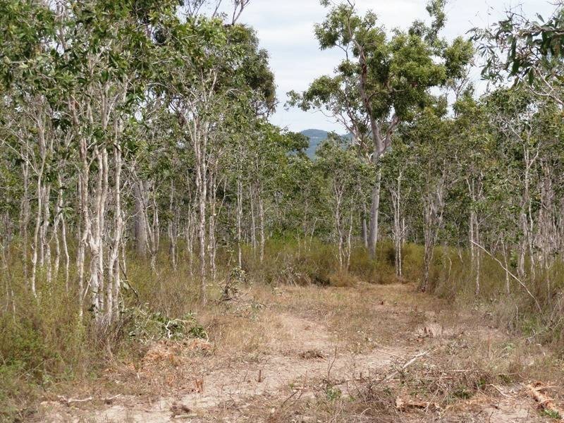 0 Hydeaway Bay Drive (HIDEAWAY BAY), Dingo Beach QLD 4800