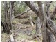 0 Hydeaway Bay Drive (HIDEAWAY BAY), Dingo Beach QLD 4800