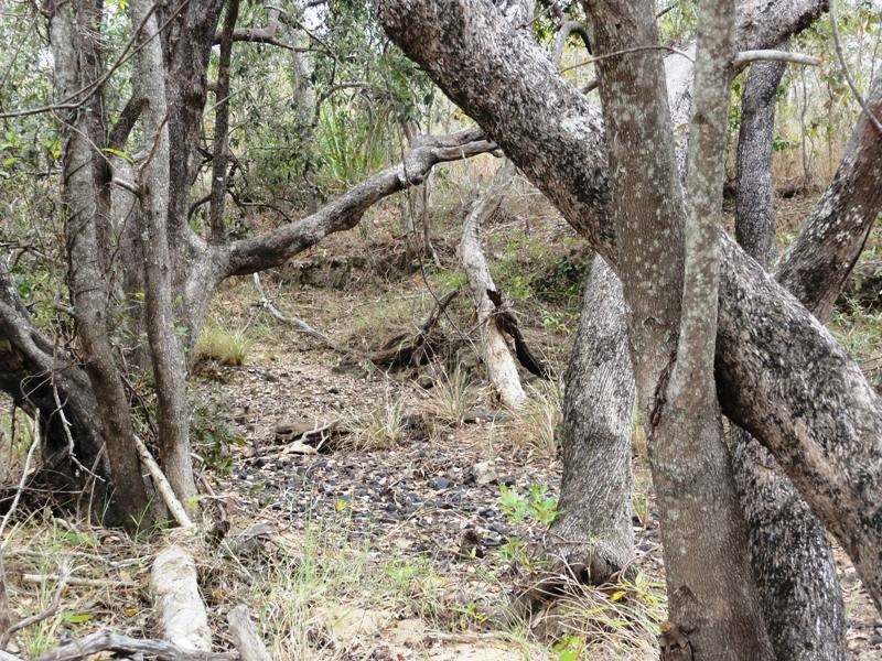 0 Hydeaway Bay Drive (HIDEAWAY BAY), Dingo Beach QLD 4800