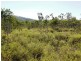 0 Hydeaway Bay Drive (HIDEAWAY BAY), Dingo Beach QLD 4800