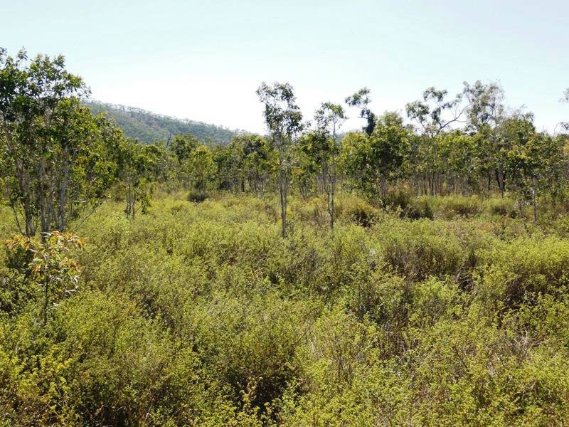 0 Hydeaway Bay Drive (HIDEAWAY BAY), Dingo Beach QLD 4800