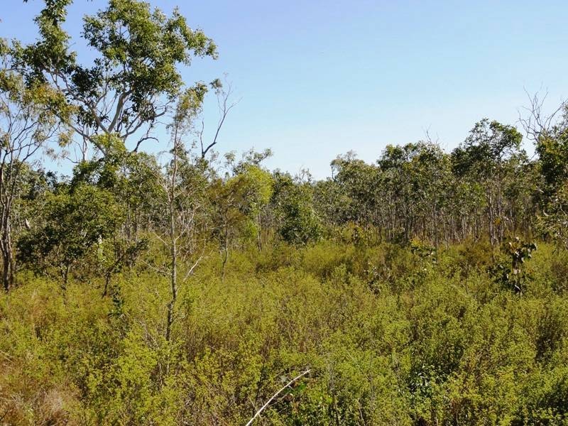 0 Hydeaway Bay Drive (HIDEAWAY BAY), Dingo Beach QLD 4800
