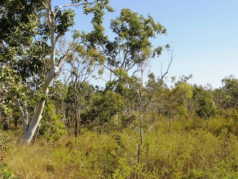 0 Hydeaway Bay Drive (HIDEAWAY BAY), Dingo Beach QLD 4800