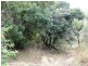 0 Hydeaway Bay Drive (HIDEAWAY BAY), Dingo Beach QLD 4800