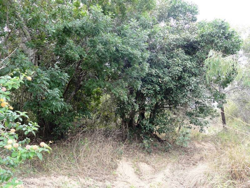 0 Hydeaway Bay Drive (HIDEAWAY BAY), Dingo Beach QLD 4800