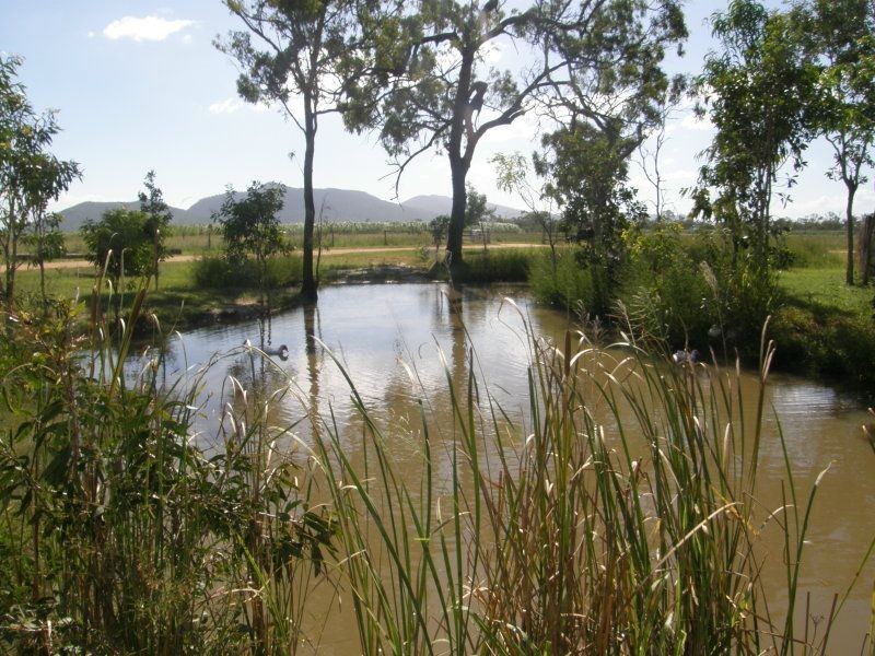 1963 Crystalbrook, Crystal Brook QLD 4800