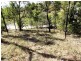 38 Rattray Avenue, Hideaway Bay QLD 4800