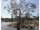 44 / Lot 39 Hydeaway Bay Drive, (HIDEAWAY BAY), Dingo Beach QLD 4800