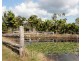 44 / Lot 39 Hydeaway Bay Drive, (HIDEAWAY BAY), Dingo Beach QLD 4800