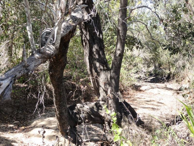 44 / Lot 39 Hydeaway Bay Drive, (HIDEAWAY BAY), Dingo Beach QLD 4800