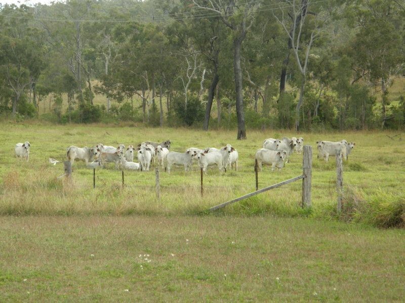 9824 Bruce Hwy., Bloomsbury QLD 4799