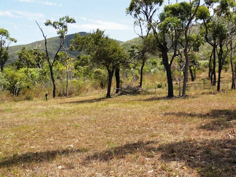 58 Blackcurrant Drive, Hideaway Bay QLD 4800