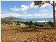 19 Gloucester Avenue, Hideaway Bay QLD 4800