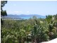 Lt 11 Shute Harbour Road, Airlie Beach QLD 4802
