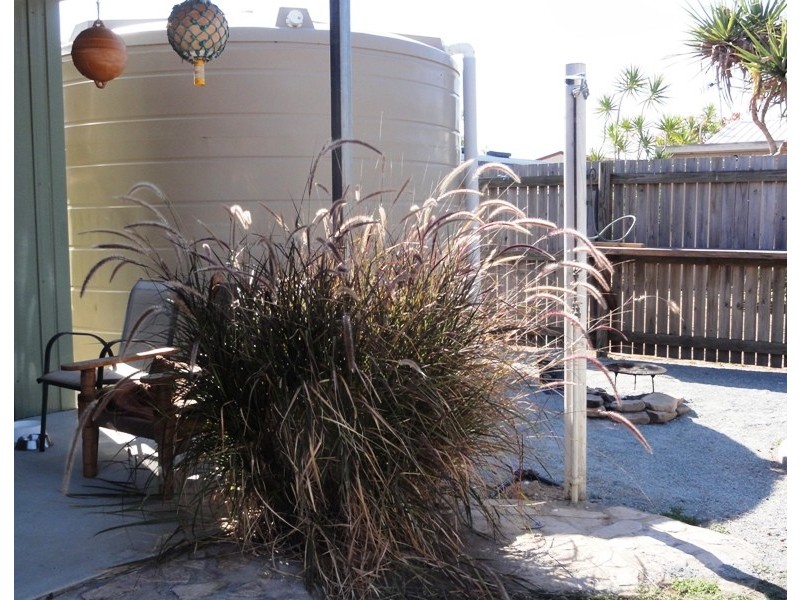 53 Trochus Street, Dingo Beach QLD 4800