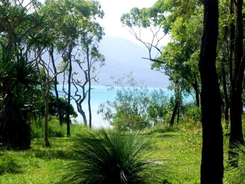 49 Pioneer Drive, Dingo Beach QLD 4800