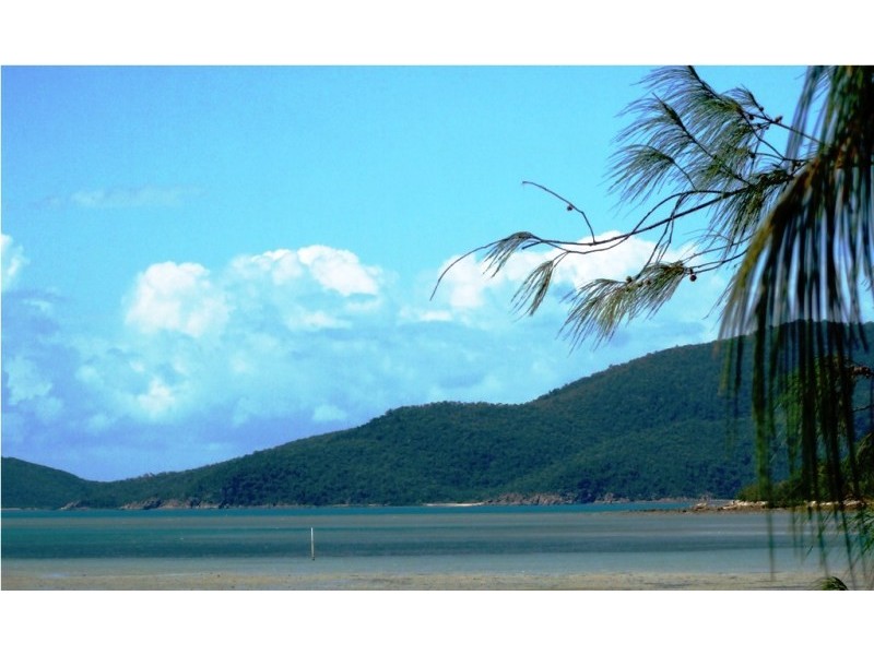 49 Pioneer Drive, Dingo Beach QLD 4800