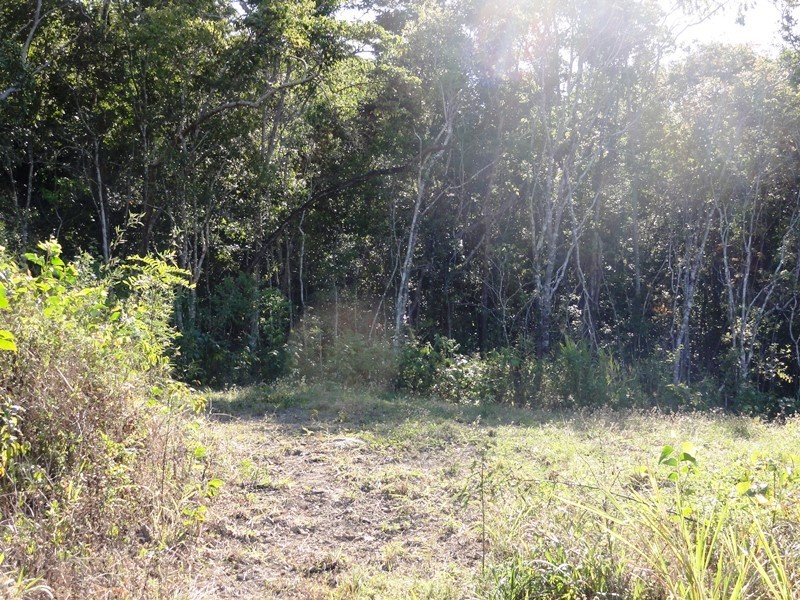 0 – Lot 13 Winchester Court, Mount Marlow QLD 4800