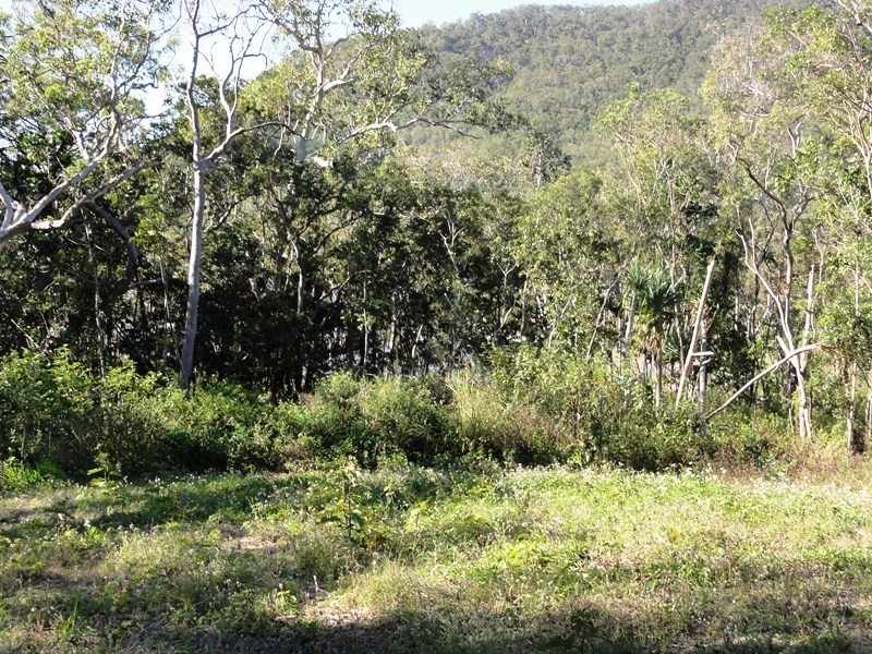 0 – Lot 13 Winchester Court, Mount Marlow QLD 4800