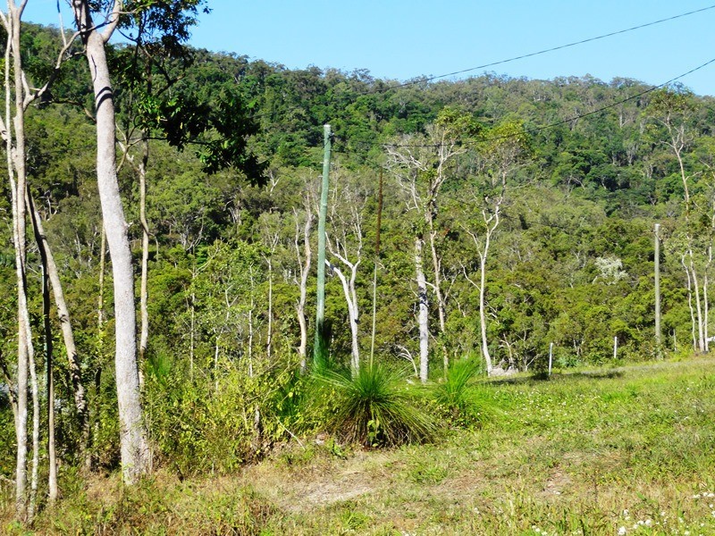 0 – Lot 13 Winchester Court, Mount Marlow QLD 4800