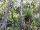 0 – Lot 13 Winchester Court, Mount Marlow QLD 4800