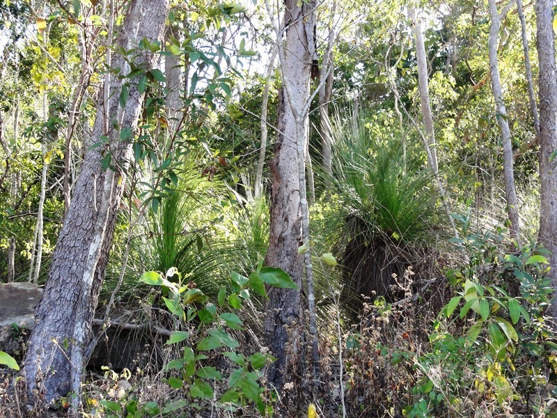 0 – Lot 13 Winchester Court, Mount Marlow QLD 4800