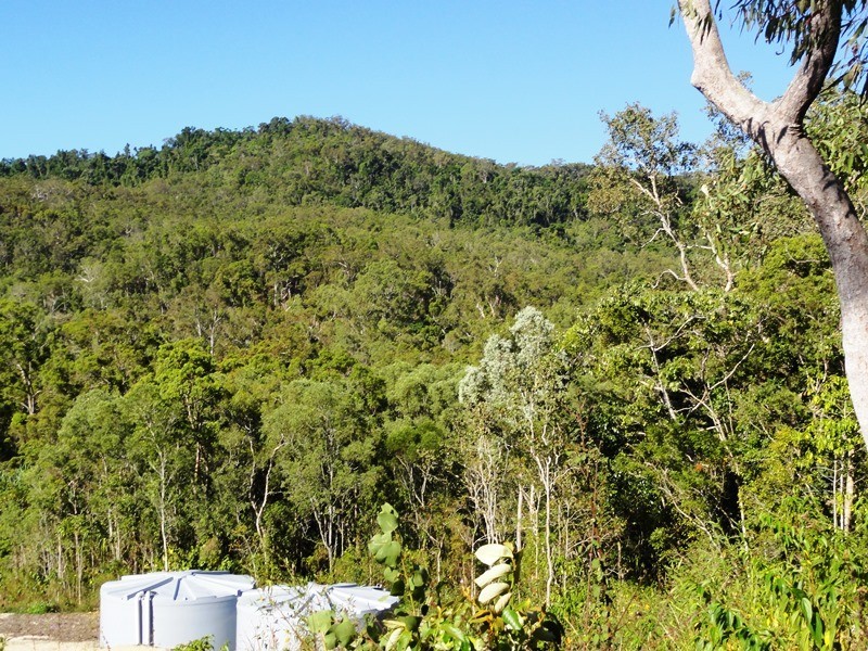 0 – Lot 11 Winchester Court, Mount Marlow QLD 4800