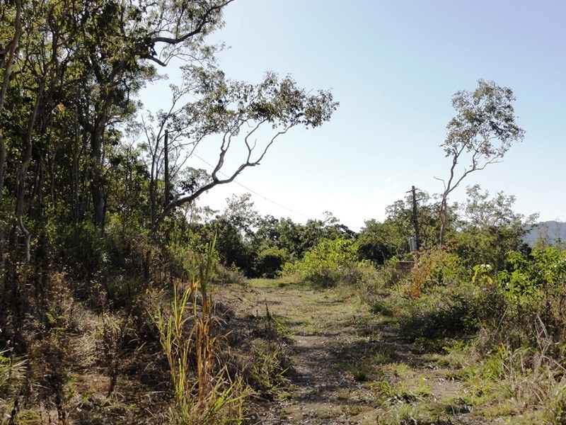 0 – Lot 11 Winchester Court, Mount Marlow QLD 4800