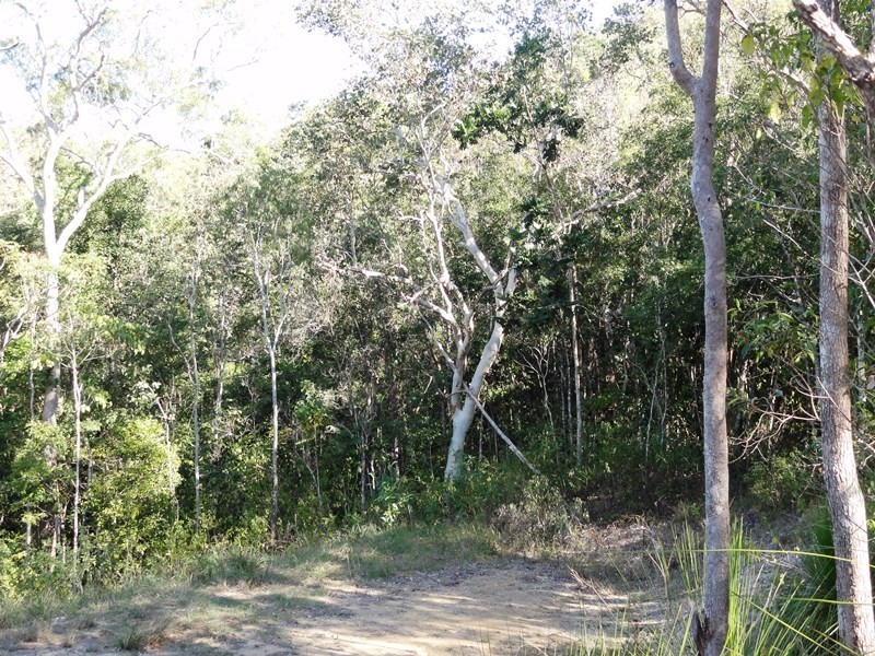 0 – Lot 11 Winchester Court, Mount Marlow QLD 4800